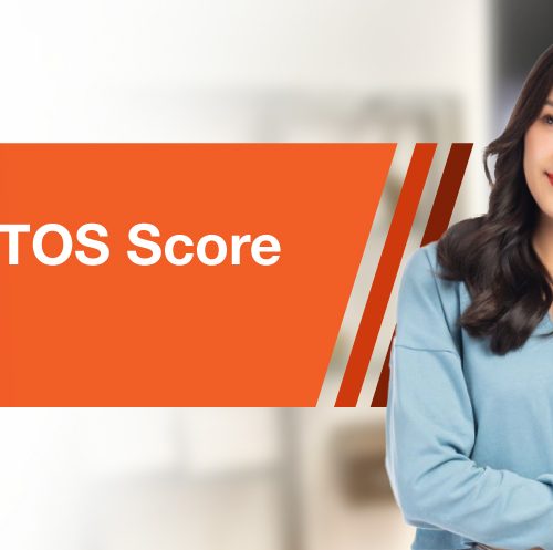 How To Read A MyCTOS Score Report - CTOS - Malaysia's Leading Credit ...